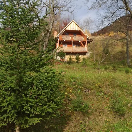Holiday home ярок на 10 осіб баня манга дрова входять у вартість також неподалік є чан *